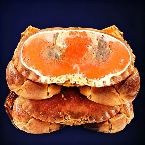 Cooked Frozen Brown Crab