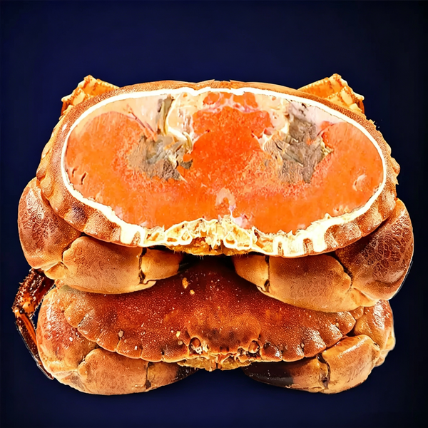 Cooked Frozen Brown Crab