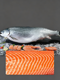 Fresh Salmon Sashimi